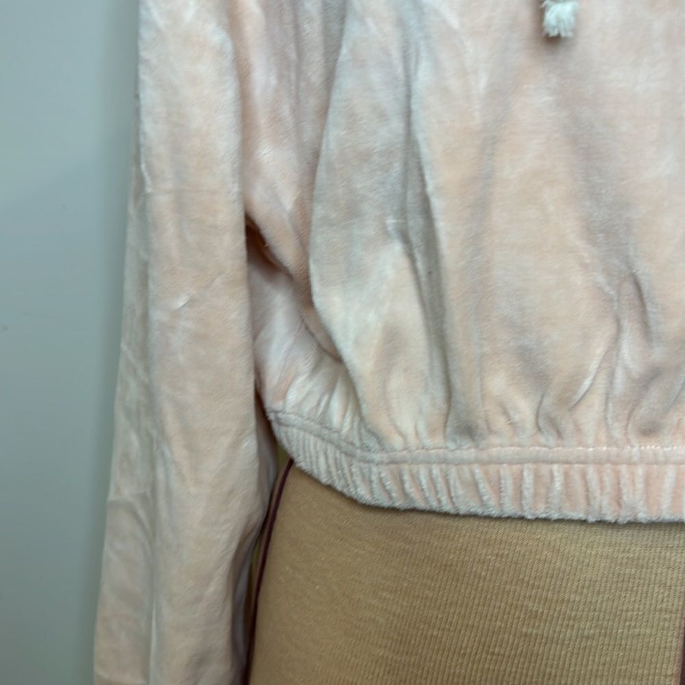 NWT Double Zero Soft Pink Velvet Cropped Hooded Sweatshirt - Size Large - Picture 4 of 10